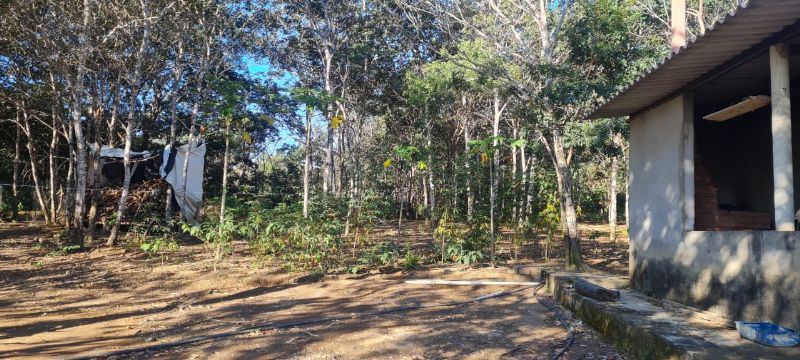 Imagem de EXCELENTE TERRA COM DUAS CASAS E MUITA ÁGUA  - 2 HECTARES E MEIO