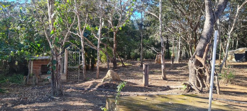 Imagem de EXCELENTE TERRA COM DUAS CASAS E MUITA ÁGUA  - 2 HECTARES E MEIO