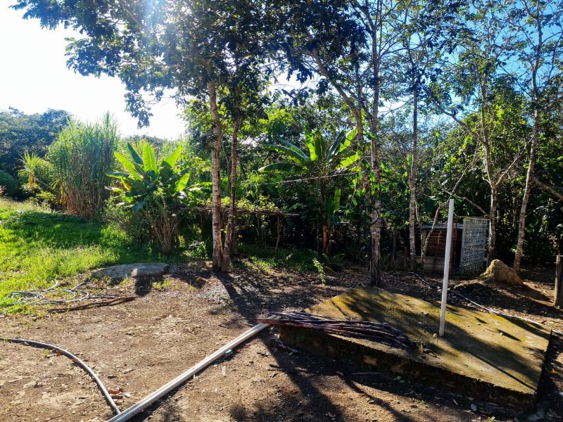 Imagem de EXCELENTE TERRA COM DUAS CASAS E MUITA ÁGUA  - 2 HECTARES E MEIO