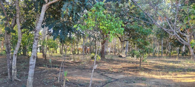 Imagem de EXCELENTE TERRA COM DUAS CASAS E MUITA ÁGUA  - 2 HECTARES E MEIO