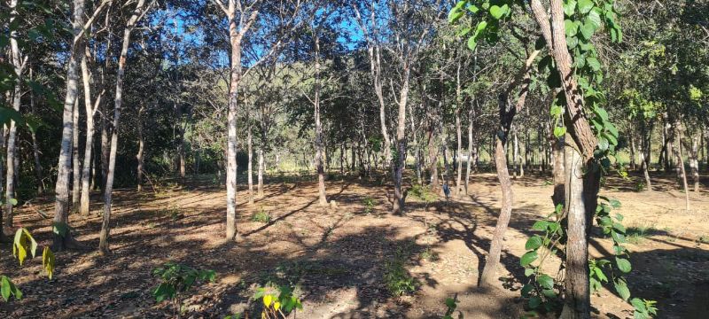 Imagem de EXCELENTE TERRA COM DUAS CASAS E MUITA ÁGUA  - 2 HECTARES E MEIO