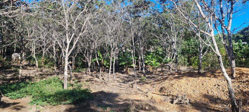 Imagem de EXCELENTE TERRA COM DUAS CASAS E MUITA ÁGUA  - 2 HECTARES E MEIO