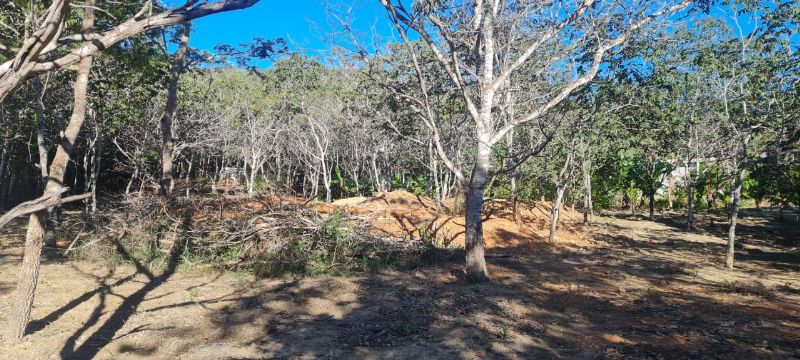 Imagem de EXCELENTE TERRA COM DUAS CASAS E MUITA ÁGUA  - 2 HECTARES E MEIO