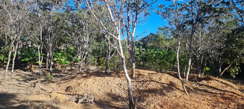 Imagem de EXCELENTE TERRA COM DUAS CASAS E MUITA ÁGUA  - 2 HECTARES E MEIO