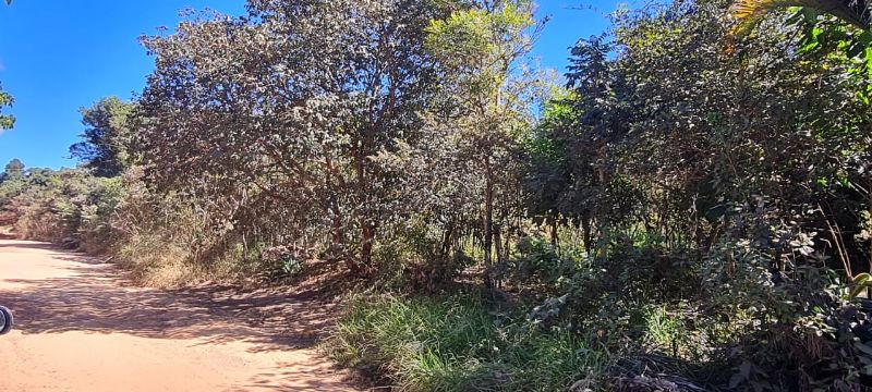 Imagem de LINDO LOTE EM ÁREA NOBRE