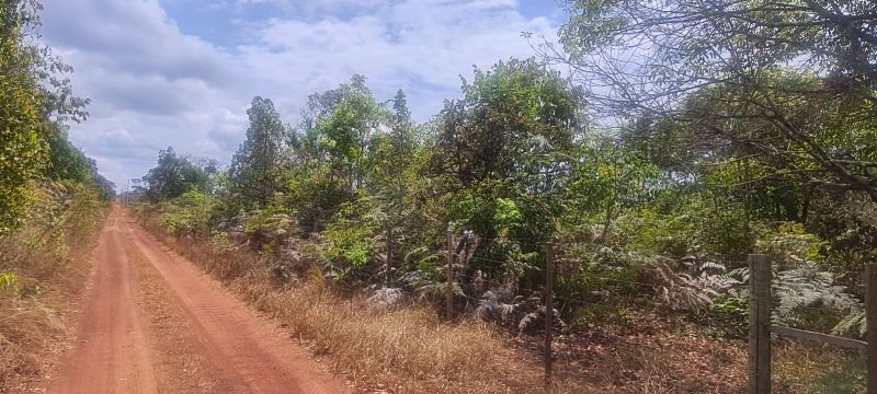 Imagem de CHÁCARA DE 4.39 HECTARES À 2.5 KM E MEIO DA CIDADE