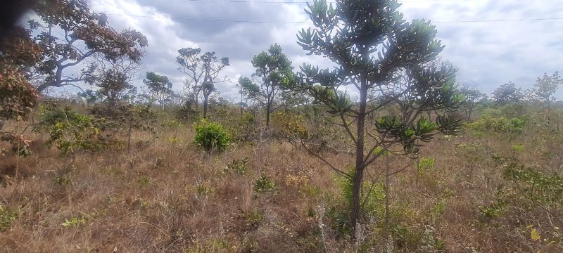 Imagem de CHÁCARA DE 4.39 HECTARES À 2.5 KM E MEIO DA CIDADE