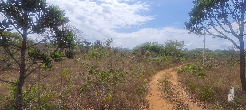 Imagem de CHÁCARA DE 4.39 HECTARES À 2.5 KM E MEIO DA CIDADE