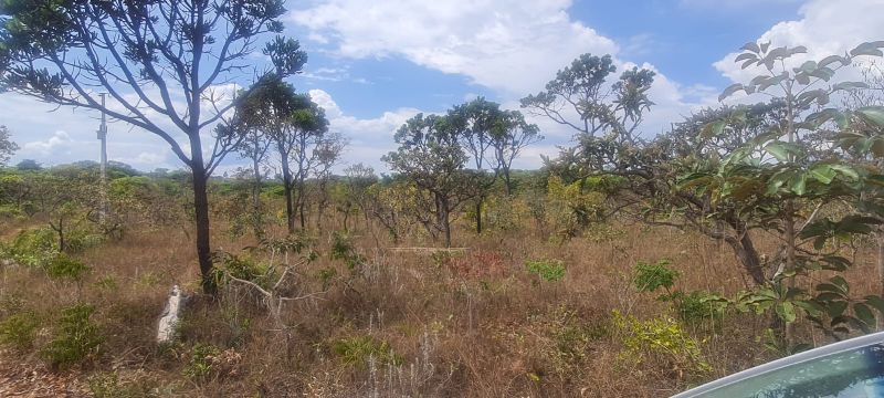 Imagem de CHÁCARA DE 4.39 HECTARES À 2.5 KM E MEIO DA CIDADE