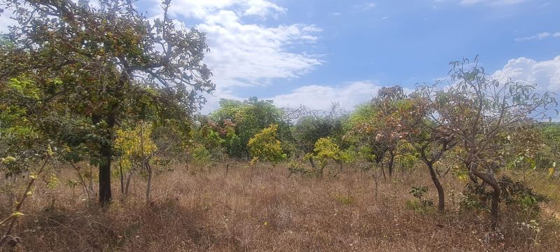 Imagem de CHÁCARA DE 4.39 HECTARES À 2.5 KM E MEIO DA CIDADE