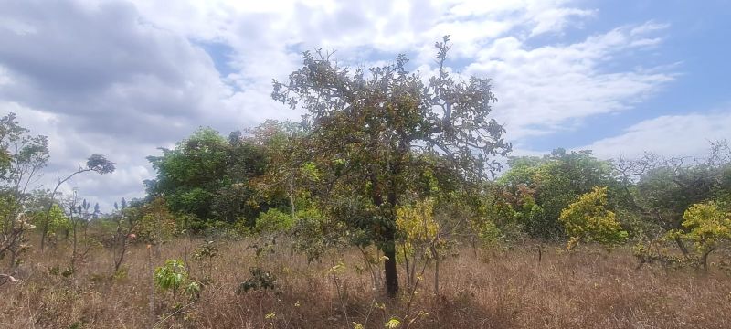 Imagem de CHÁCARA DE 4.39 HECTARES À 2.5 KM E MEIO DA CIDADE