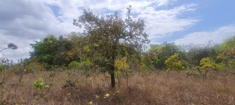 Imagem de CHÁCARA DE 4.39 HECTARES À 2.5 KM E MEIO DA CIDADE