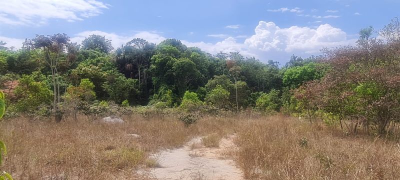 Imagem de CHÁCARA DE 4.39 HECTARES À 2.5 KM E MEIO DA CIDADE