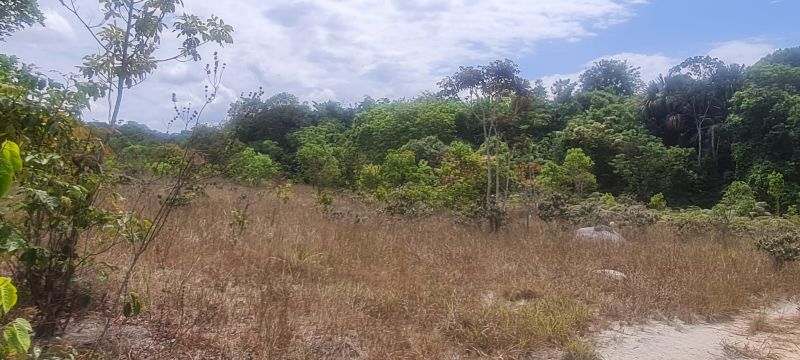 Imagem de CHÁCARA DE 4.39 HECTARES À 2.5 KM E MEIO DA CIDADE