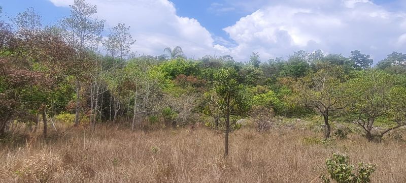 Imagem de CHÁCARA DE 4.39 HECTARES À 2.5 KM E MEIO DA CIDADE