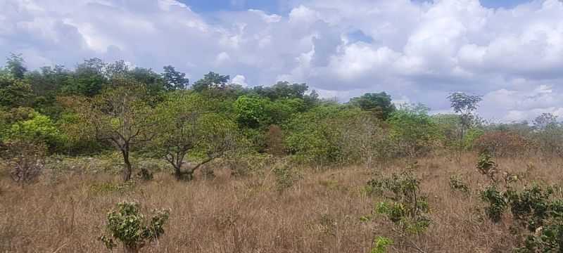 Imagem de CHÁCARA DE 4.39 HECTARES À 2.5 KM E MEIO DA CIDADE