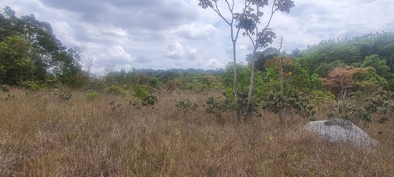 Imagem de CHÁCARA DE 4.39 HECTARES À 2.5 KM E MEIO DA CIDADE