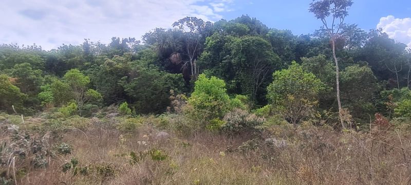 Imagem de CHÁCARA DE 4.39 HECTARES À 2.5 KM E MEIO DA CIDADE