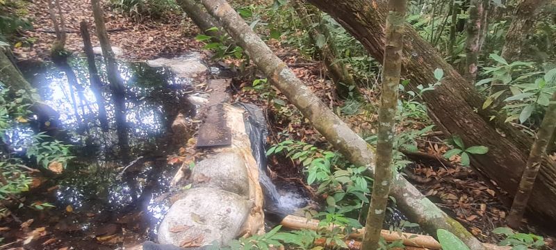 Imagem de CHÁCARA DE 4.39 HECTARES À 2.5 KM E MEIO DA CIDADE