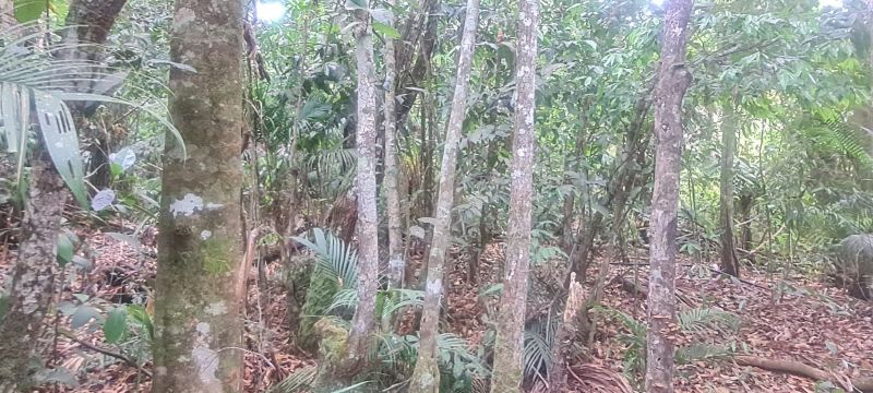 Imagem de CHÁCARA DE 4.39 HECTARES À 2.5 KM E MEIO DA CIDADE