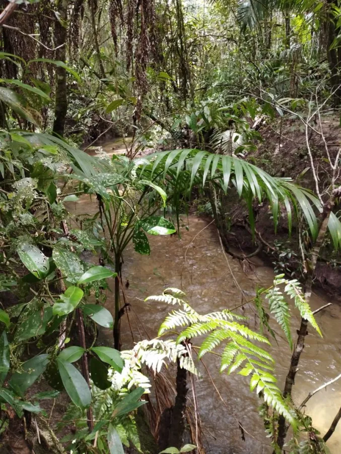 Imagem de LINDO LOTE NO KM12