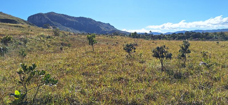 Imagem de LINDA GLEBA DE 4 HECTARES -  VISTA PARA O MORRO DA BALEIA E CACHOEIRA PRIVATIVA