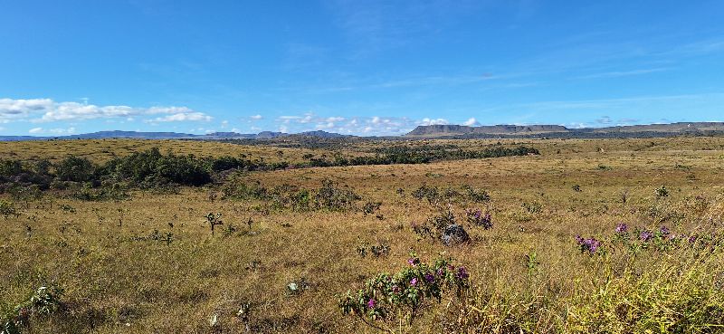 Imagem de LINDA GLEBA DE 4 HECTARES -  VISTA PARA O MORRO DA BALEIA E CACHOEIRA PRIVATIVA