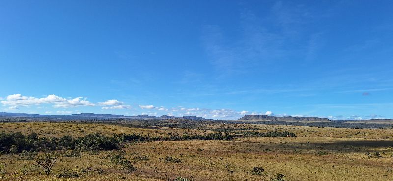 Imagem de LINDA GLEBA DE 4 HECTARES -  VISTA PARA O MORRO DA BALEIA E CACHOEIRA PRIVATIVA