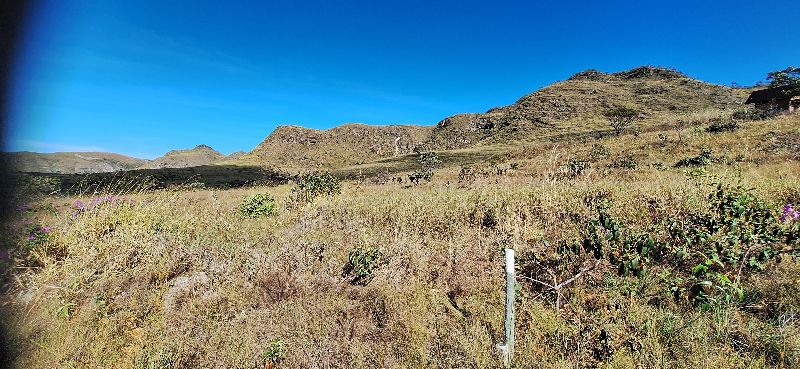 Imagem de LINDA GLEBA DE 4 HECTARES -  VISTA PARA O MORRO DA BALEIA E CACHOEIRA PRIVATIVA