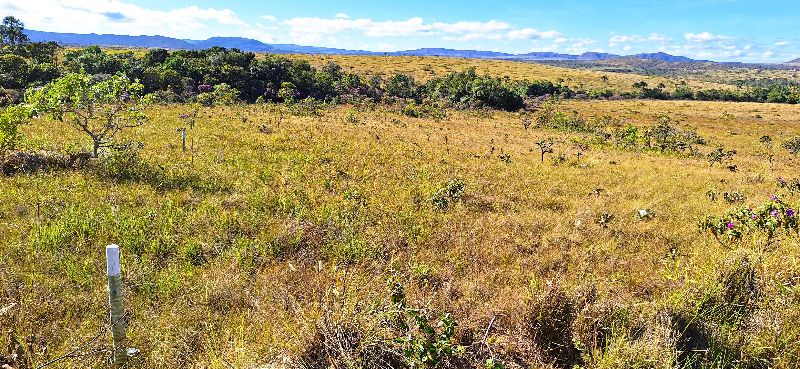 Imagem de LINDA GLEBA DE 4 HECTARES -  VISTA PARA O MORRO DA BALEIA E CACHOEIRA PRIVATIVA