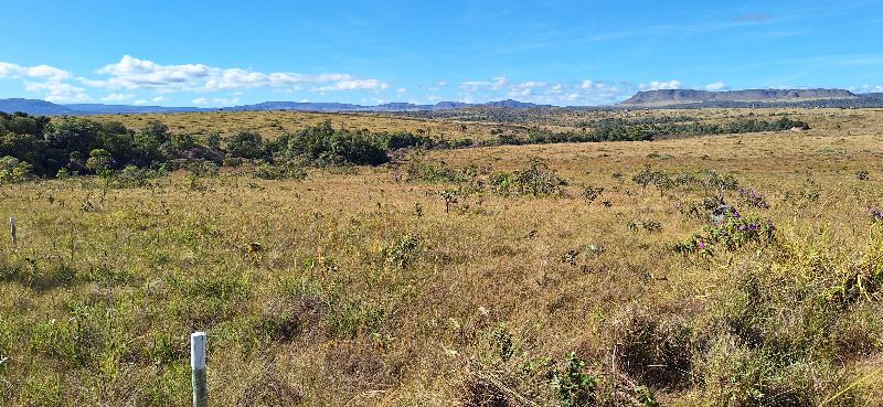 Imagem de LINDA GLEBA DE 4 HECTARES -  VISTA PARA O MORRO DA BALEIA E CACHOEIRA PRIVATIVA