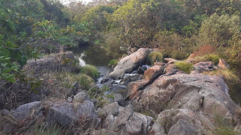 Imagem de DOIS HECTARES DENTRO DA CIDADE DE TERESINA