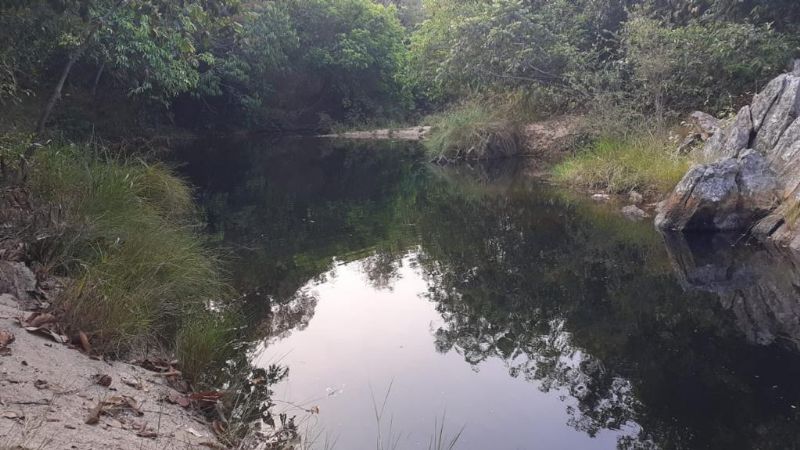 Imagem de DOIS HECTARES DENTRO DA CIDADE DE TERESINA