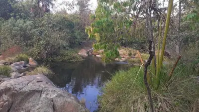 Imagem de DOIS HECTARES DENTRO DA CIDADE DE TERESINA