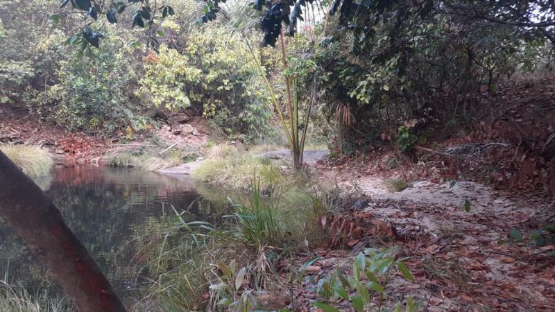 Imagem de DOIS HECTARES DENTRO DA CIDADE DE TERESINA