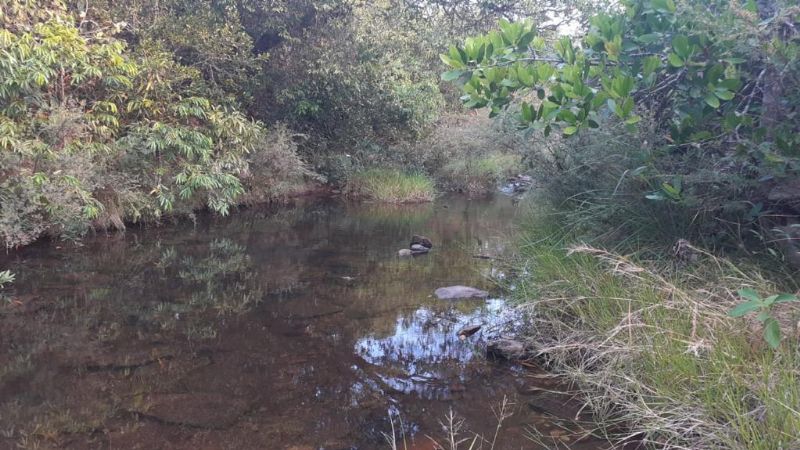 Imagem de DOIS HECTARES DENTRO DA CIDADE DE TERESINA