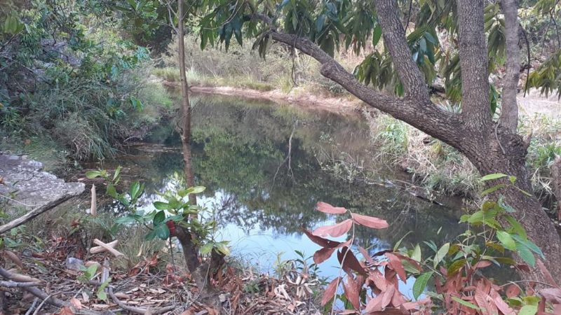 Imagem de DOIS HECTARES DENTRO DA CIDADE DE TERESINA