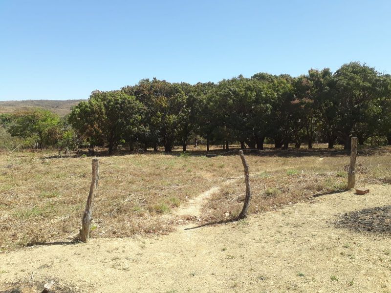 Imagem de VENDE-SE UM ALQUEIRE GOIANO COM BENFEITORIAS