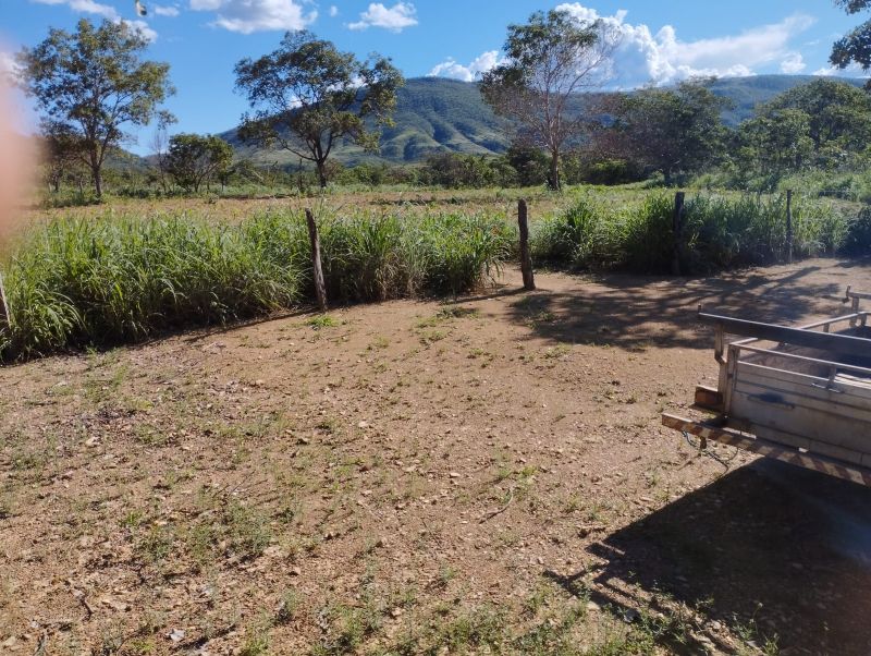 Imagem de VENDE-SE UM ALQUEIRE GOIANO COM BENFEITORIAS