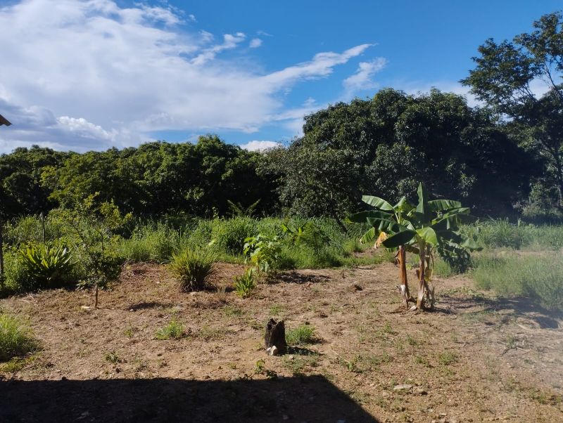 Imagem de VENDE-SE UM ALQUEIRE GOIANO COM BENFEITORIAS