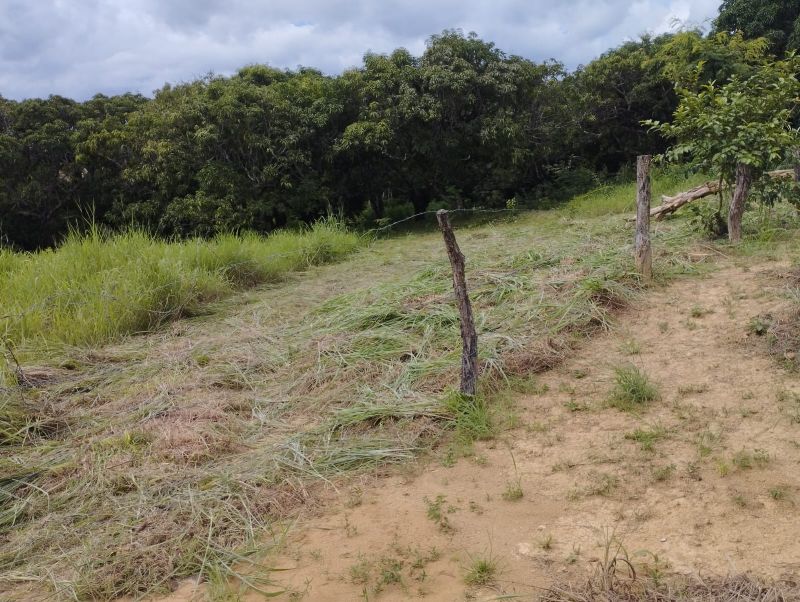 Imagem de VENDE-SE UM ALQUEIRE GOIANO COM BENFEITORIAS