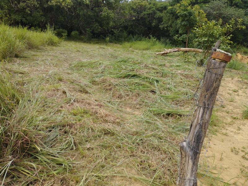 Imagem de VENDE-SE UM ALQUEIRE GOIANO COM BENFEITORIAS