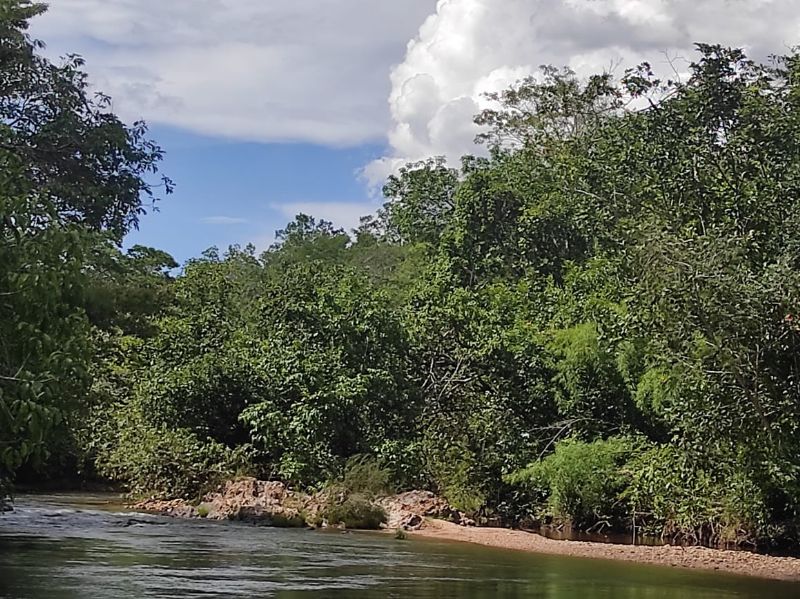 Imagem de TERRA COM 11 HECTARES COM VISTA E RIO