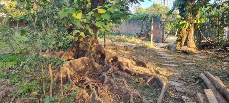 Imagem de EXCELENTE  CASA  EM LOTE DE ESQUINA