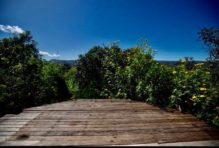 Imagem de VENDO CASA COM ÓTIMA LOCALIZAÇÃO