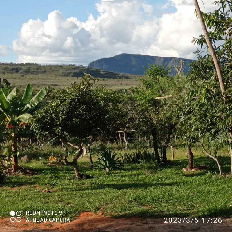 Imagem de LINDO SÍTIO COM EXCELENTE CASA