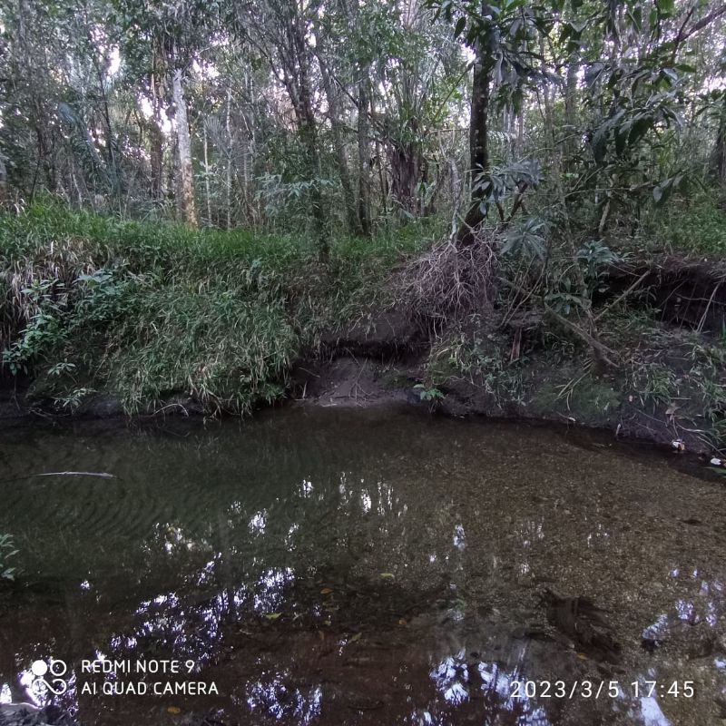 Imagem de LINDO SÍTIO COM EXCELENTE CASA