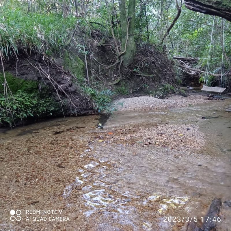 Imagem de LINDO SÍTIO COM EXCELENTE CASA