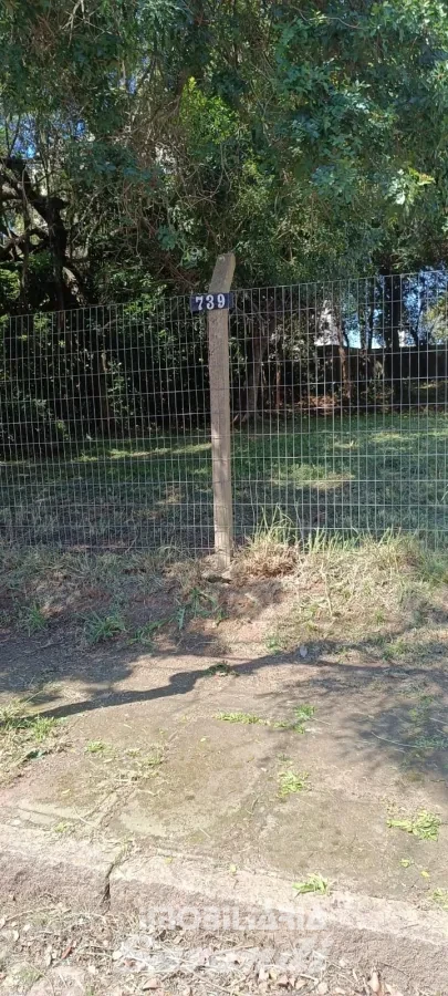 Imagem de Terreno plano e aterrado bairro barão do caí Porto Alegre