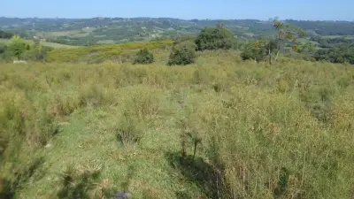 Imagem de Campo de 13 Hectares